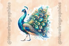 Peacock|Printable Animal Sticker Product Image 2