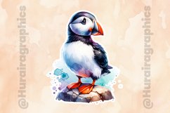 Puffin | Printable Bird Sticker Product Image 2
