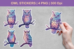 Owl Stickers | Colorful Owl PNG Illustrations Product Image 1