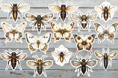 Vintage Steampunk Insect Stickers Bundle. Product Image 4