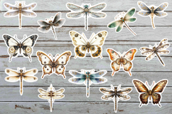Vintage Steampunk Insect Stickers Bundle. Product Image 7