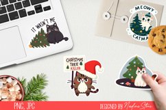 Funny cat celebrates Christmas.Stickers and Sublimation PNG. Product Image 4