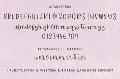 Stirling Cottage Script Font Product Image 10