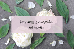 Stirling Cottage Script Font Product Image 4