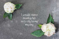 Stirling Cottage Script Font Product Image 8