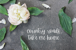 Stirling Cottage Script Font Product Image 9