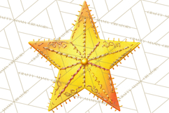 Mended Glitter Star Clipart, Stitched Star PNG, Patched Product Image 4