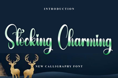 Stocking Charming Product Image 1