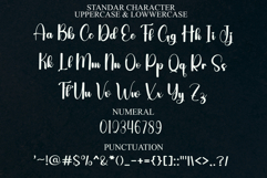 Stocking Charming Product Image 7