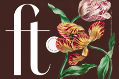 Stogne Gesture - Modern Sans Serif Font Product Image 7