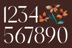 Stogne Gesture - Modern Sans Serif Font Product Image 14