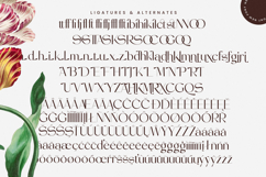 Stogne Gesture - Modern Sans Serif Font Product Image 18
