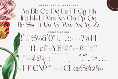 Stogne Gesture - Modern Sans Serif Font Product Image 19