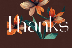 Stogne Gesture - Modern Sans Serif Font Product Image 20