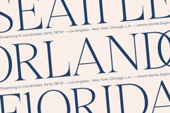 Stokeda - Thin Serif Display Font Product Image 3