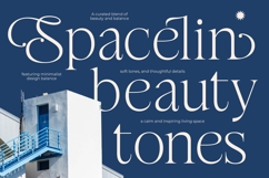 Stokeda - Thin Serif Display Font Product Image 10
