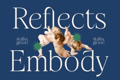 Stokeda - Thin Serif Display Font Product Image 12