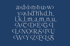 Stokeda - Thin Serif Display Font Product Image 14