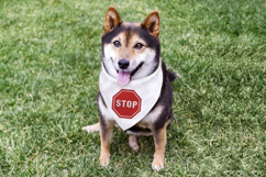 Stop Sign Octagon Mini Embroidery