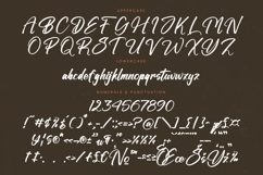 Stoplight - Bold Calligraphy Font Product Image 18