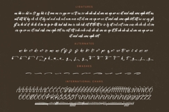 Stoplight - Bold Calligraphy Font Product Image 19