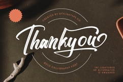 Stoplight - Bold Calligraphy Font Product Image 20