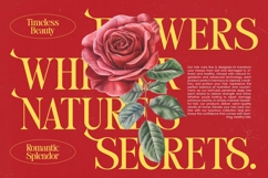 Stories Grand - Bold Tall Serif Font Product Image 3