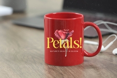 Stories Grand - Bold Tall Serif Font Product Image 5