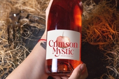 Stories Grand - Bold Tall Serif Font Product Image 14