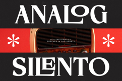 Storm Blokade - Modern Display Serif Font Product Image 9