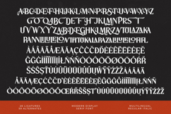 Storm Blokade - Modern Display Serif Font Product Image 18