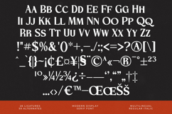 Storm Blokade - Modern Display Serif Font Product Image 19