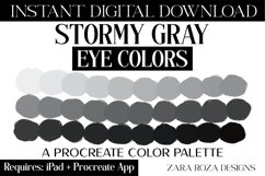 Stormy Gray Procreate Eye Color Palette 30 Swatches Product Image 1