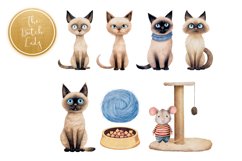 Siamese Cats Clipart Set - 25 .PNG Files Product Image 6