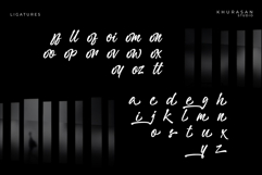 Stowy - a Modern Signature Font Product Image 5