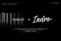 Stowy - a Modern Signature Font Product Image 6
