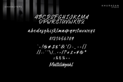 Stowy - a Modern Signature Font Product Image 7