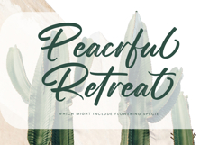 Straight Pathart - Modern Brush Font Product Image 10