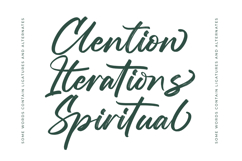 Straight Pathart - Modern Brush Font Product Image 14