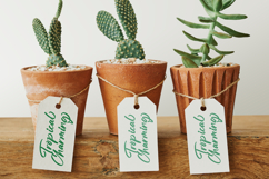 Straight Pathart - Modern Brush Font Product Image 16