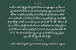 Straight Pathart - Modern Brush Font Product Image 19