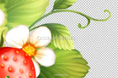 Strawberry | PNG Sublimation design Product Image 2