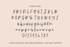 Streamfield Script Font Product Image 10