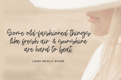 Streamfield Script Font Product Image 8