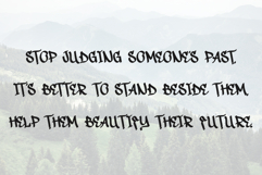 Street Piece Product Image 3