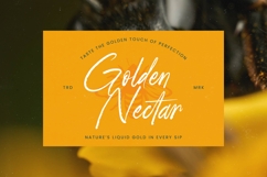 Strength Brust - Modern Brush Font Product Image 16