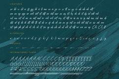 Strength Brust - Modern Brush Font Product Image 19