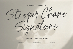 Streper Chane Signature Script Font Product Image 1