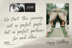 Streper Chane Signature Script Font Product Image 4