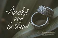 Streper Chane Signature Script Font Product Image 5